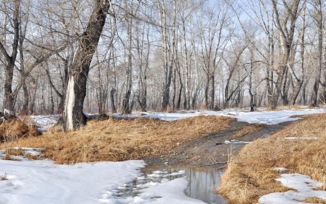 Прогноз погоды: какими будут выходные в Кирово-Чепецке?