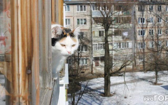 Прогноз погоды: какой будет рабочая неделя в Чепецке?