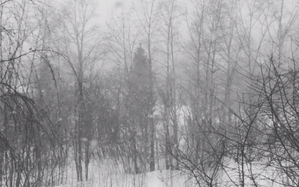 7 фото апрельского снегопада  в Кирово-Чепецке