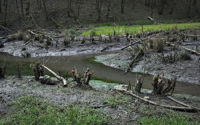 В Кировской области найдено тело 28-летнего парня