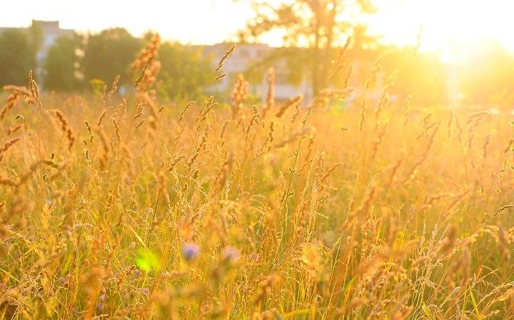 Стало известно, когда в Кировскую область вернется теплая погода
