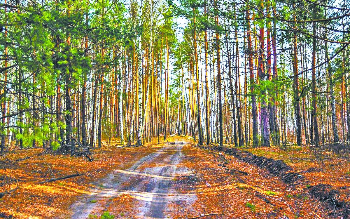 День отдыха в санатории можно получить бесплатно!