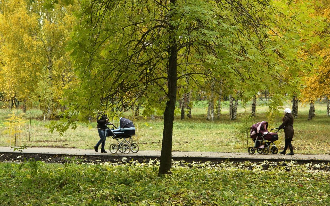 Прогноз погоды: какой будет рабочая неделя в Кирово-Чепецке?