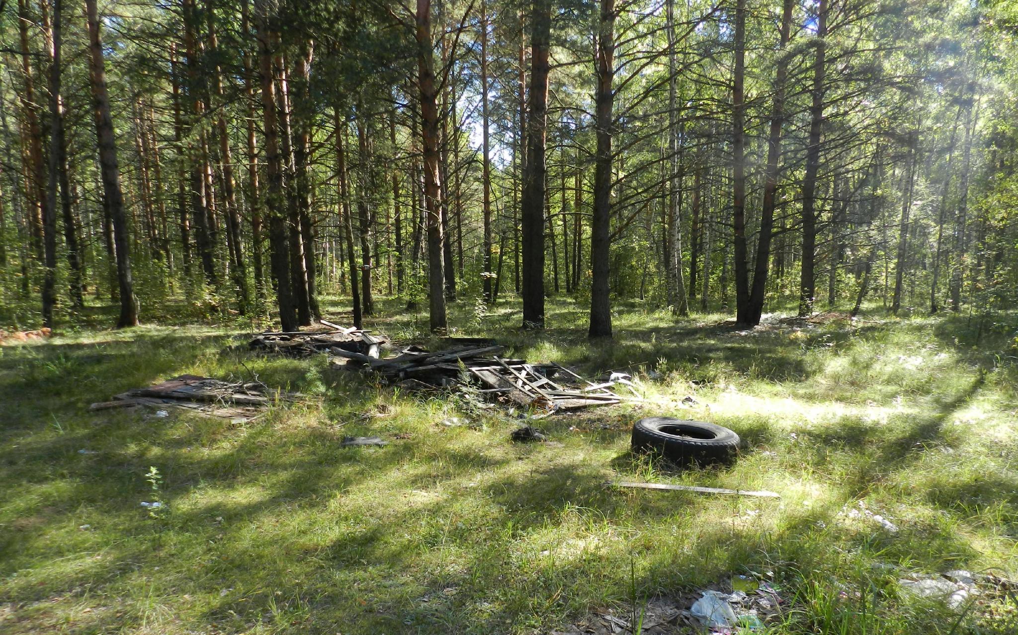 Тело 24-летнего парня обнаружили в лесу в Кировской области