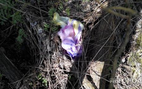 В Кирове в Зубаревском лесу обнаружили труп младенца