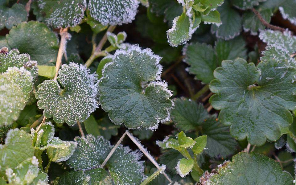 МЧС объявило метеопредупреждение в Кировской области