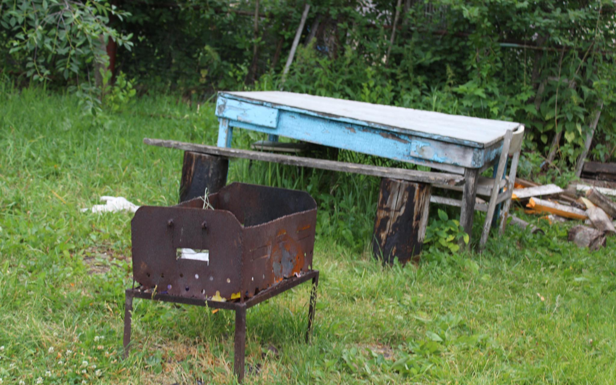 В Чепецком районе 9-летняя девочка получила ожоги на семейном пикнике