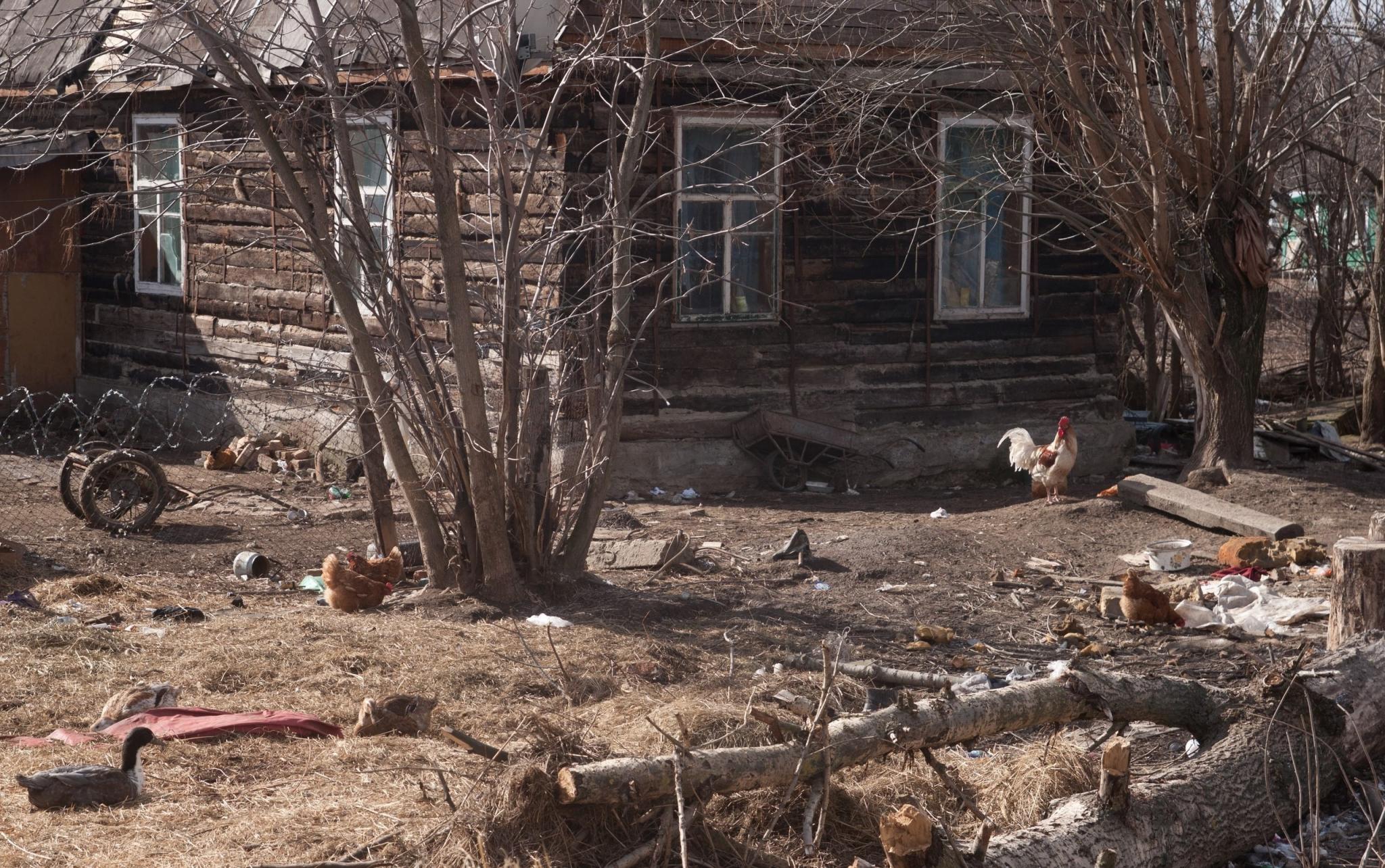 В Кировской области мужчина три месяца жил в доме, где находился труп