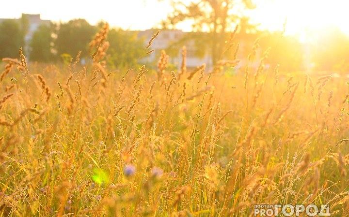 В Кировскую область возвращается лето: как долго продержится теплая погода?