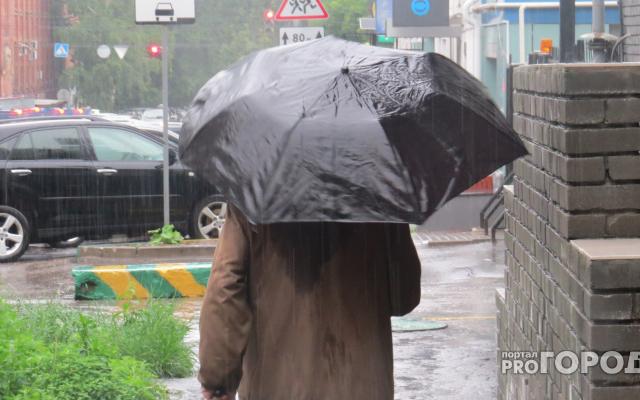 МЧС предупреждает чепчан о сильном ветре