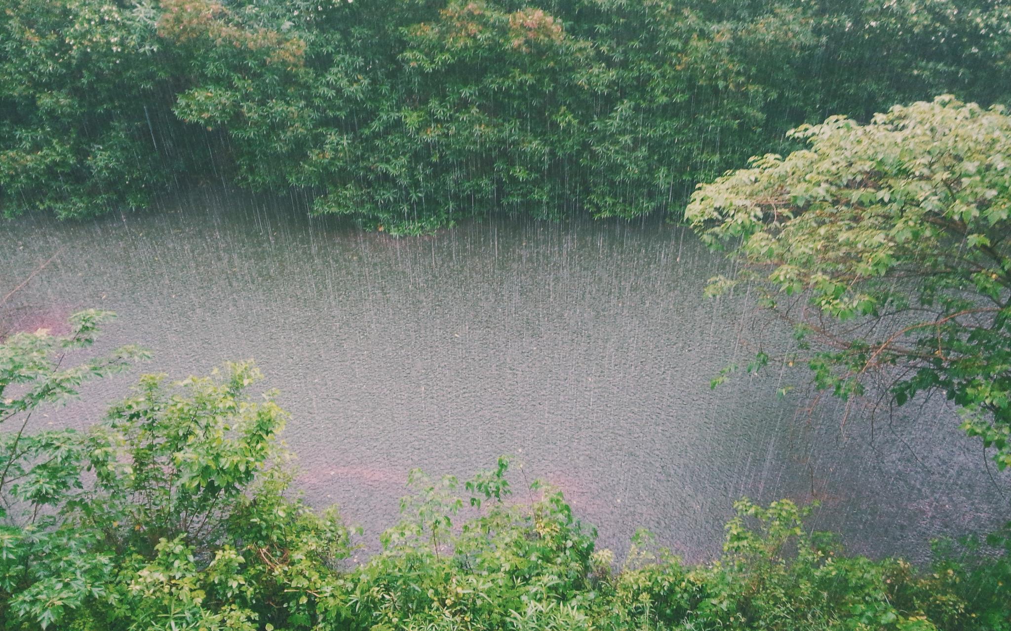 МЧС объявило метеопредупреждение в Кирово-Чепецке на среду