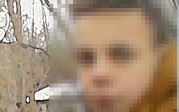 Друзья рассказали о погибшем в больнице мальчике, которого ударило током на ЛЭП