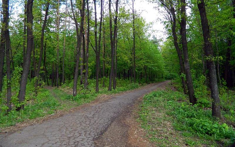 В городском парке Чепецка установят акустическое оборудование