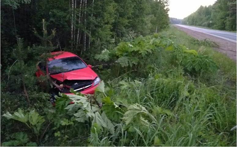 В Кирово-Чепецком районе иномарка врезалась в дерево и перевернулась