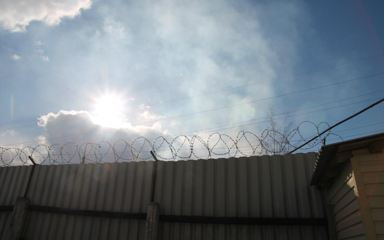 В Кировской области осужденный заблудился в лесу по пути в колонию