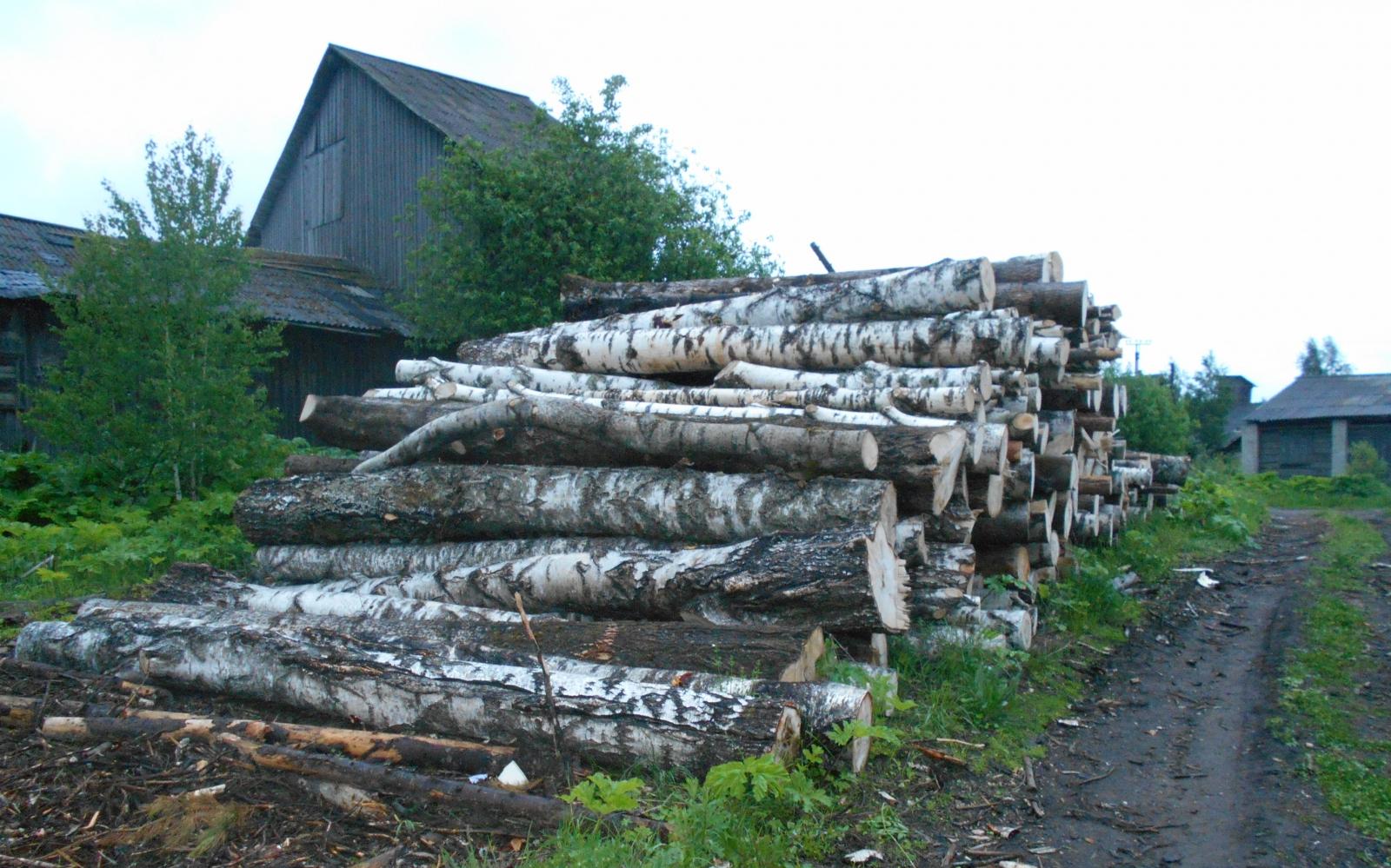 В Кировской области ребенка насмерть придавило бревном
