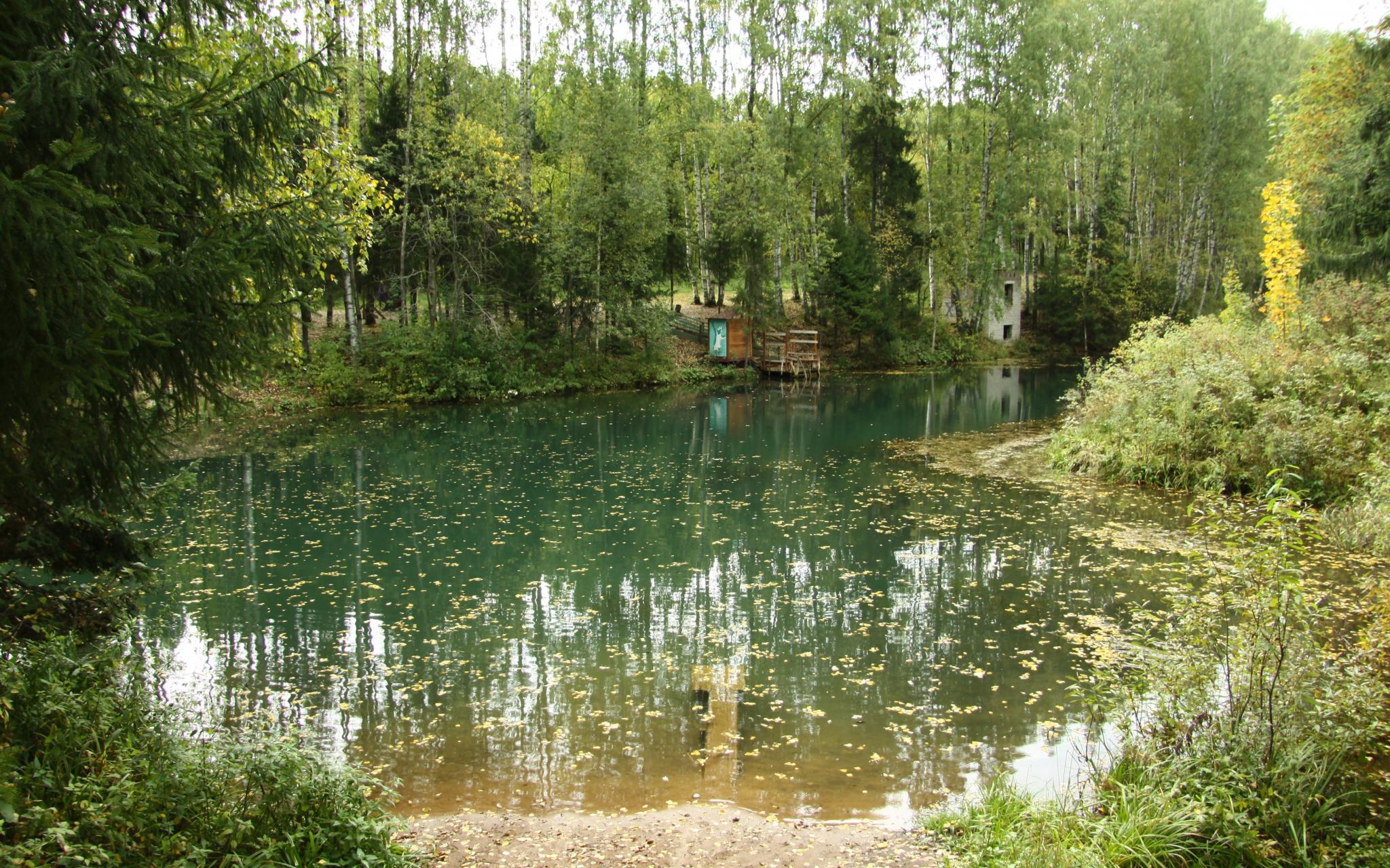 В Кирово-Чепецке появится дендропарк