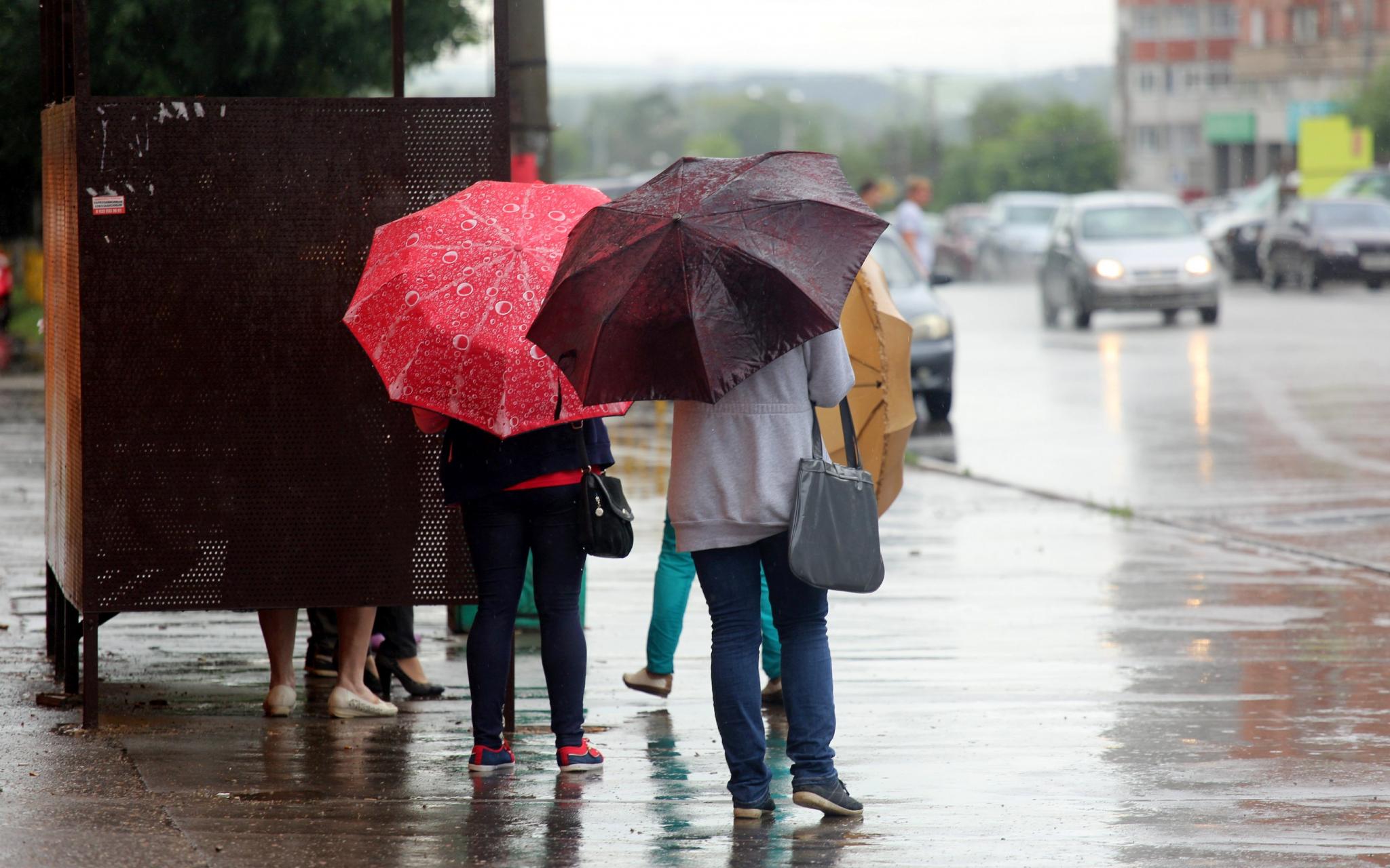 Холодное лето 2017: как это сказалось на жизни Чепецка