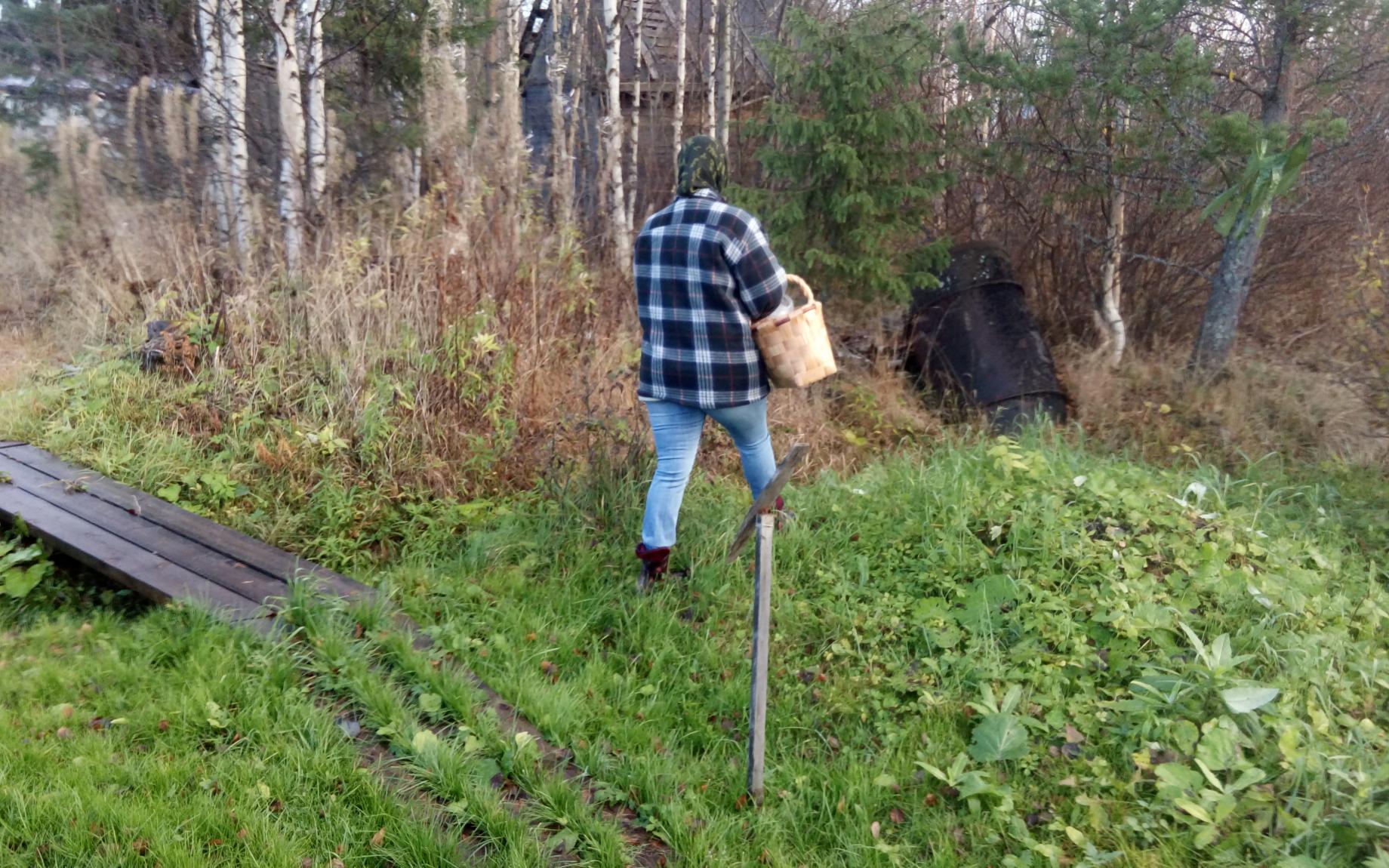 В Кировской области пропали три пенсионера
