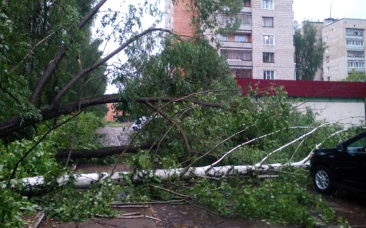 Что обсуждают в Чепецке: последствия урагана и гибель молодой пары в ДТП