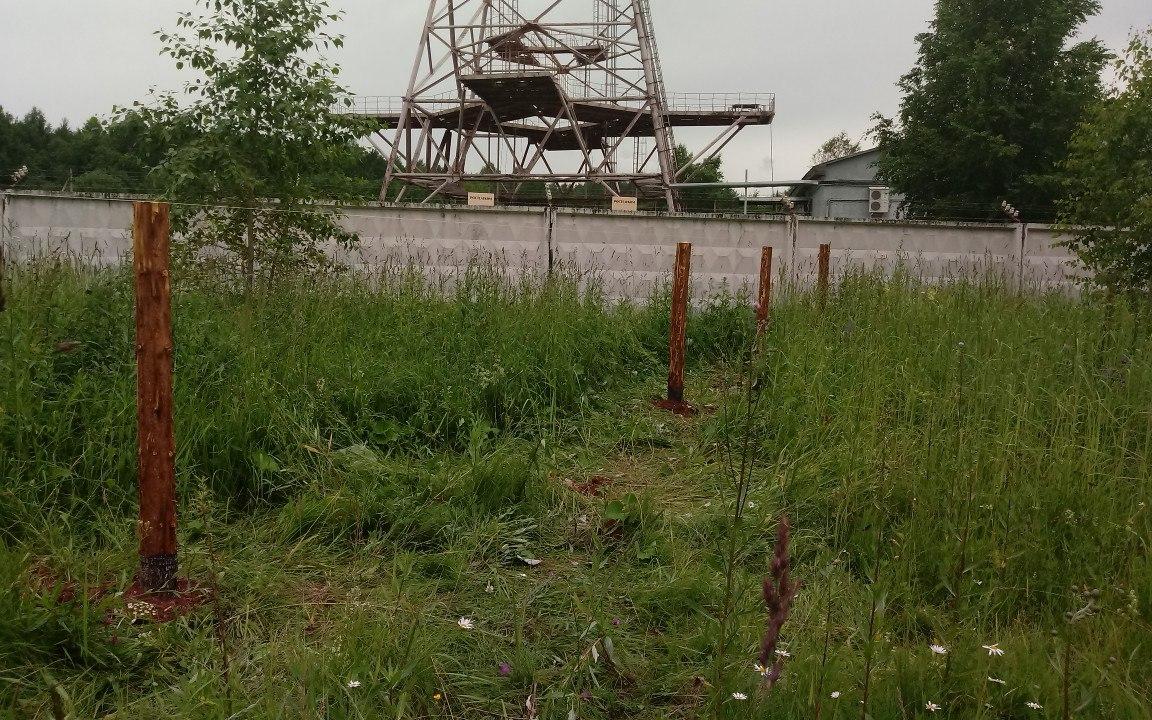 В Кировской области строят приют для бездомных животных