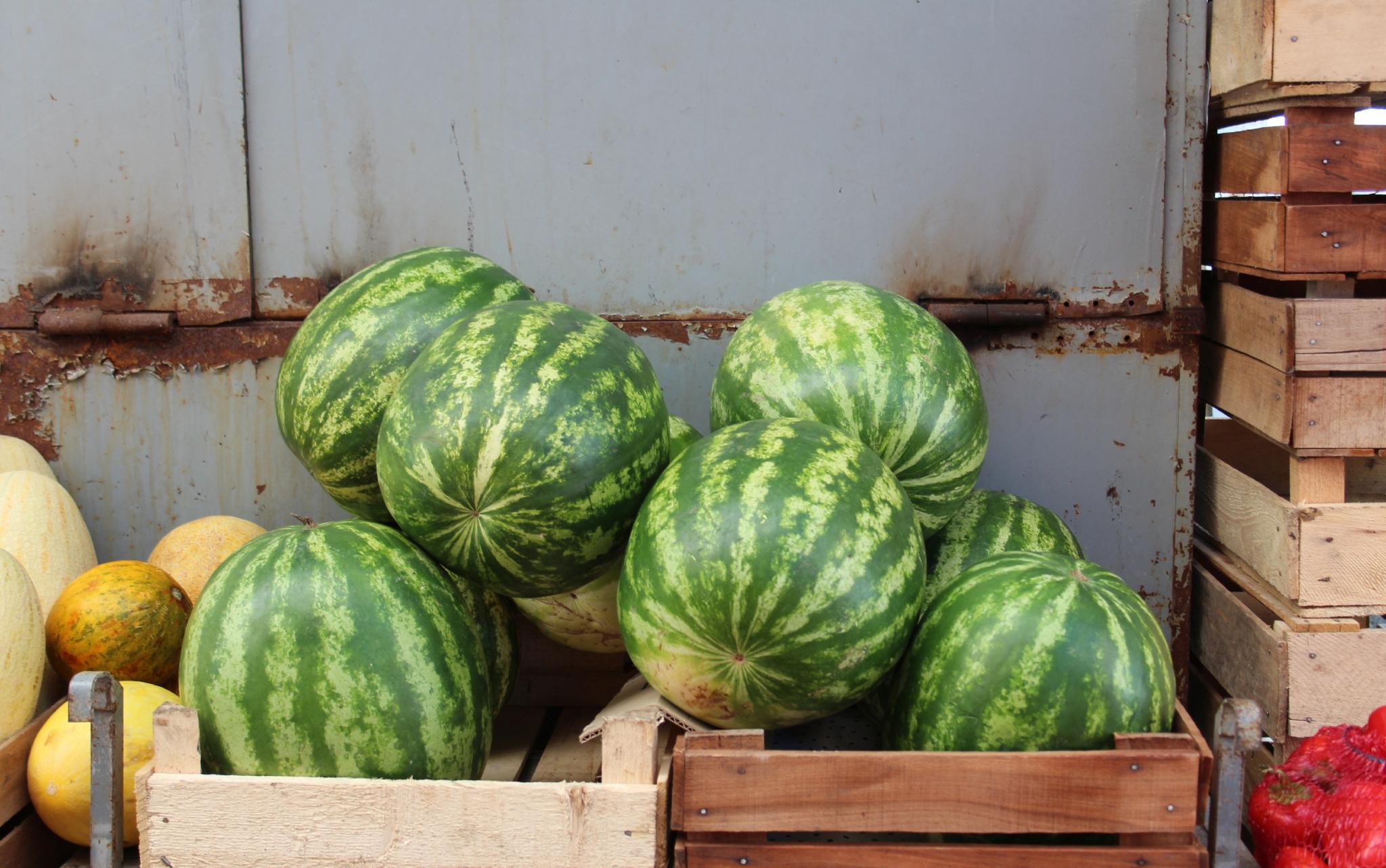 Специалисты Роспотребнадзора рассказали, какие арбузы и дыни можно покупать