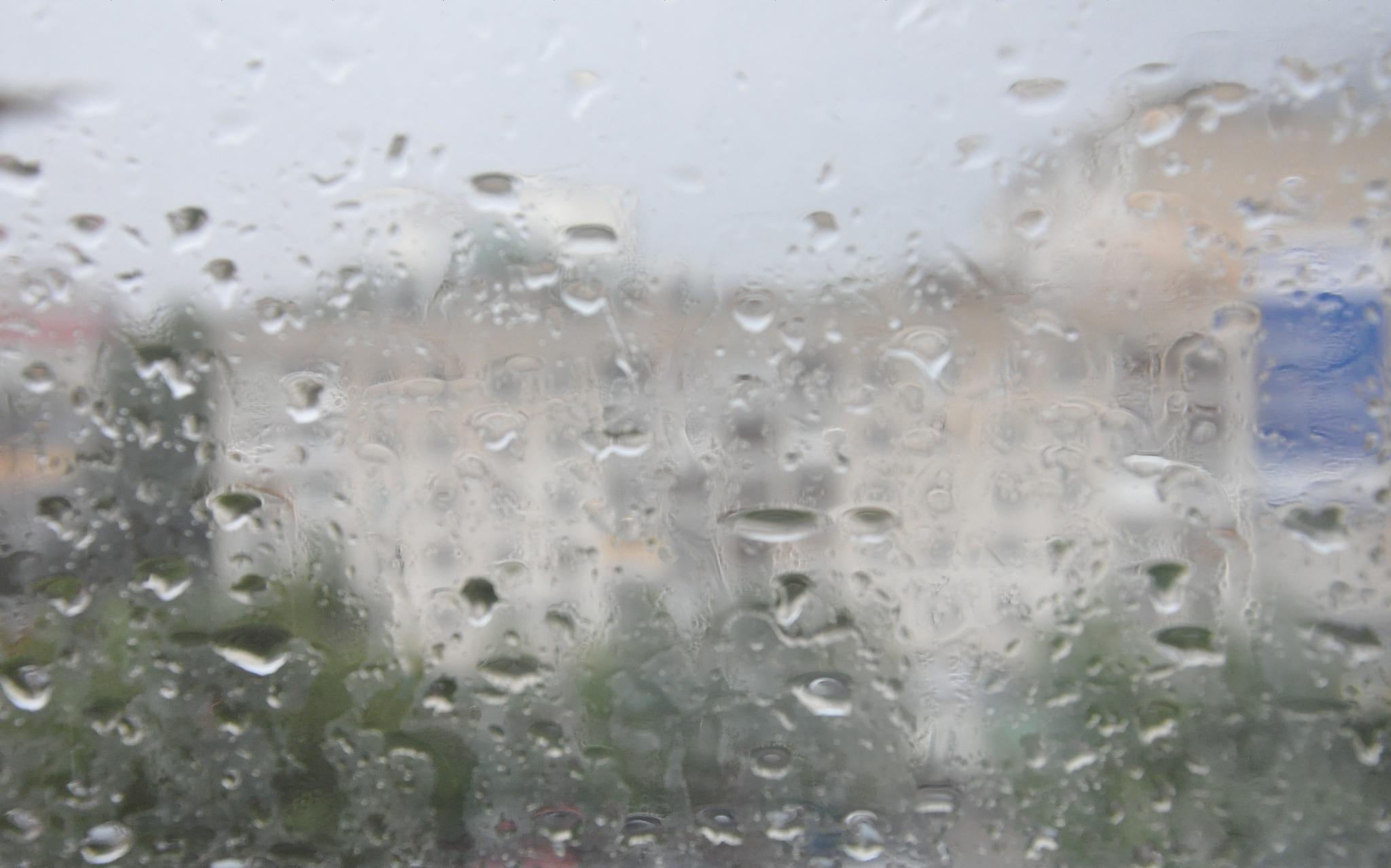 Неделя в Кирово-Чепецке будет дождливой