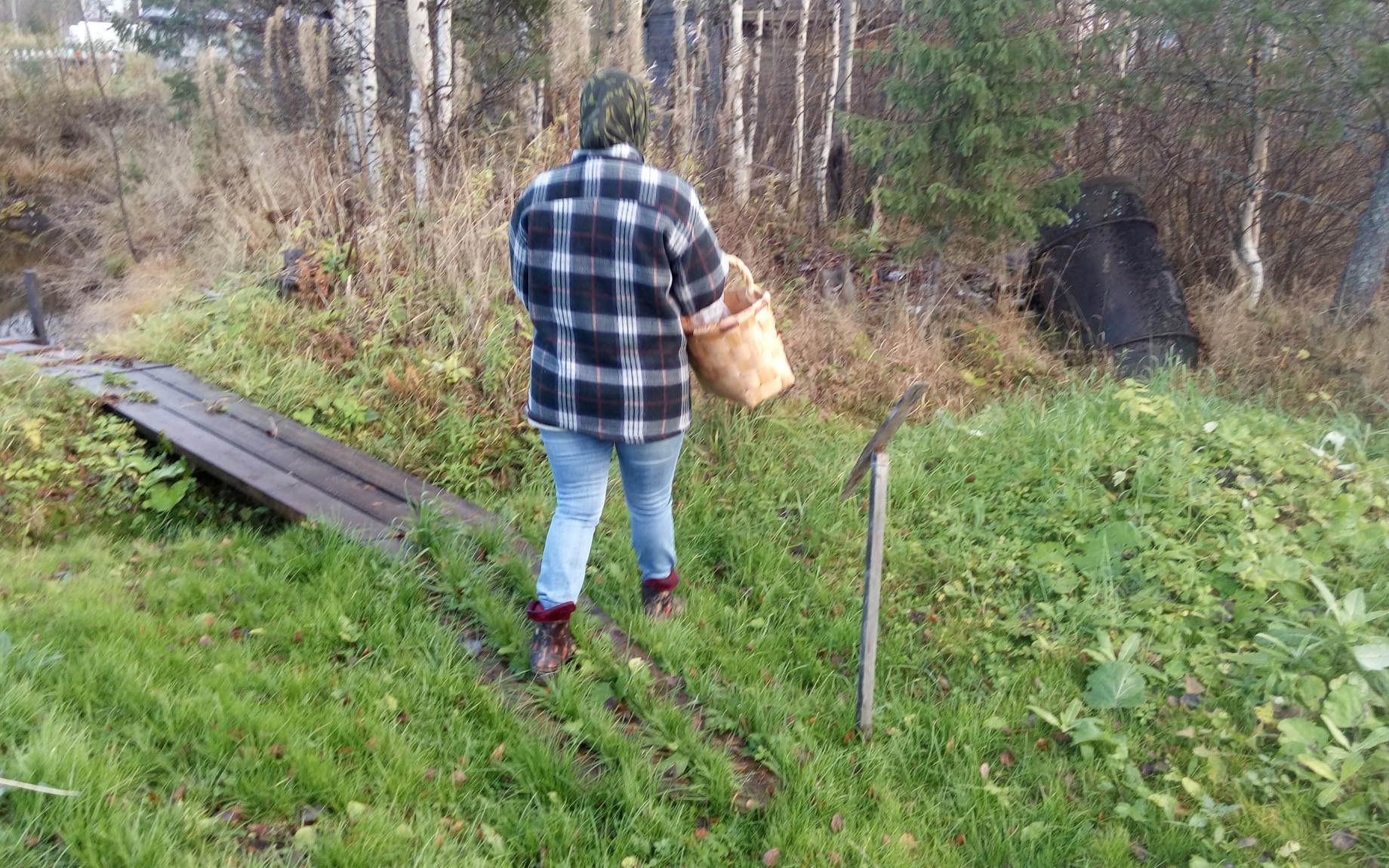 В Чепецке вынесли приговор подростку за нападение на женщину в лесу