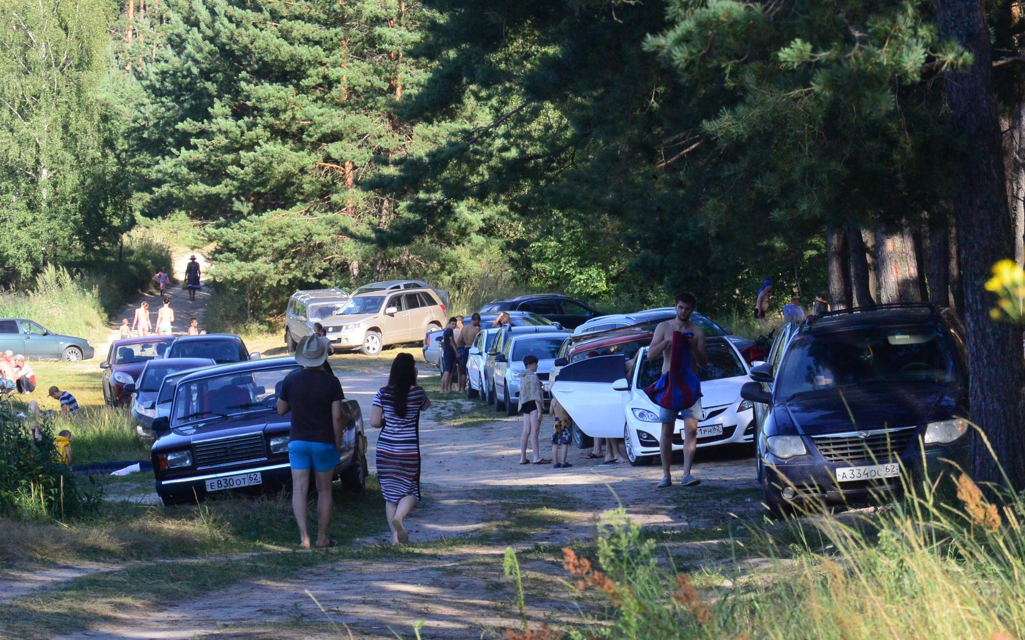 Прогноз погоды: какой будет рабочая неделя в Чепецке?