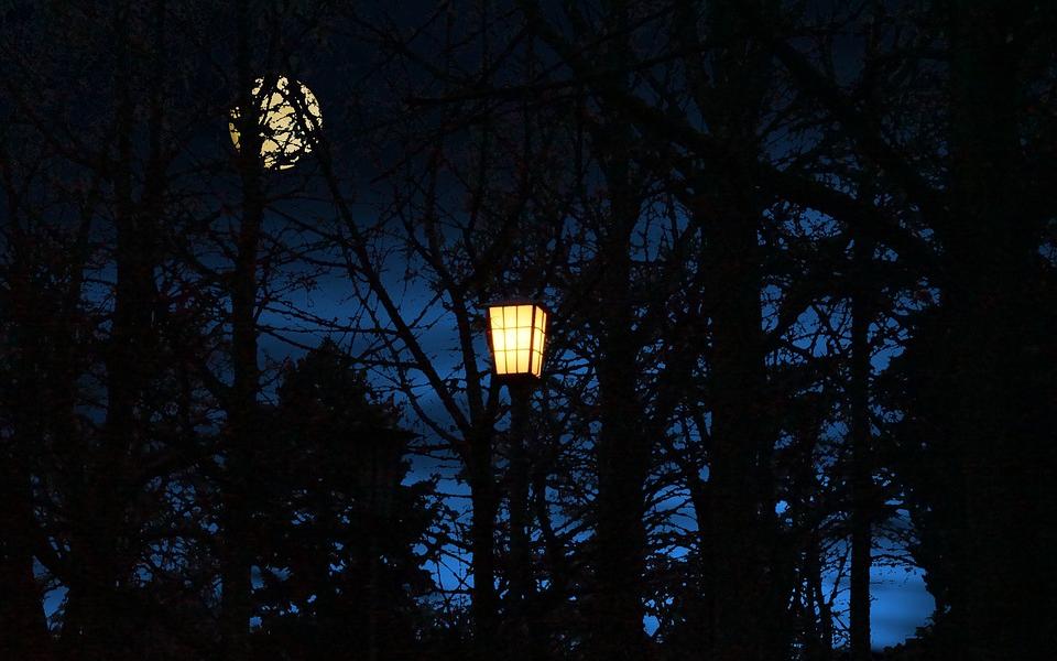 Из-за 13-летней девочки жители Кировской области организовали ночные дежурства