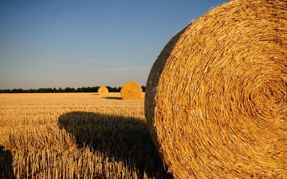 Стало известно, как долго в Кировской области продержится жаркая погода