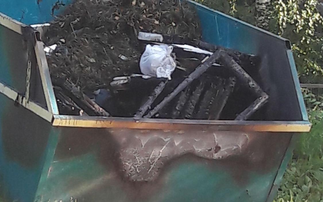 В Чепецке неизвестные подожгли мусорный бак