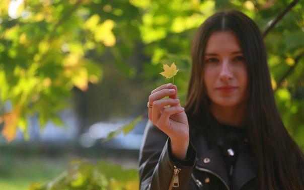 Прогноз погоды: каким будет первый осенний месяц в Чепецке?