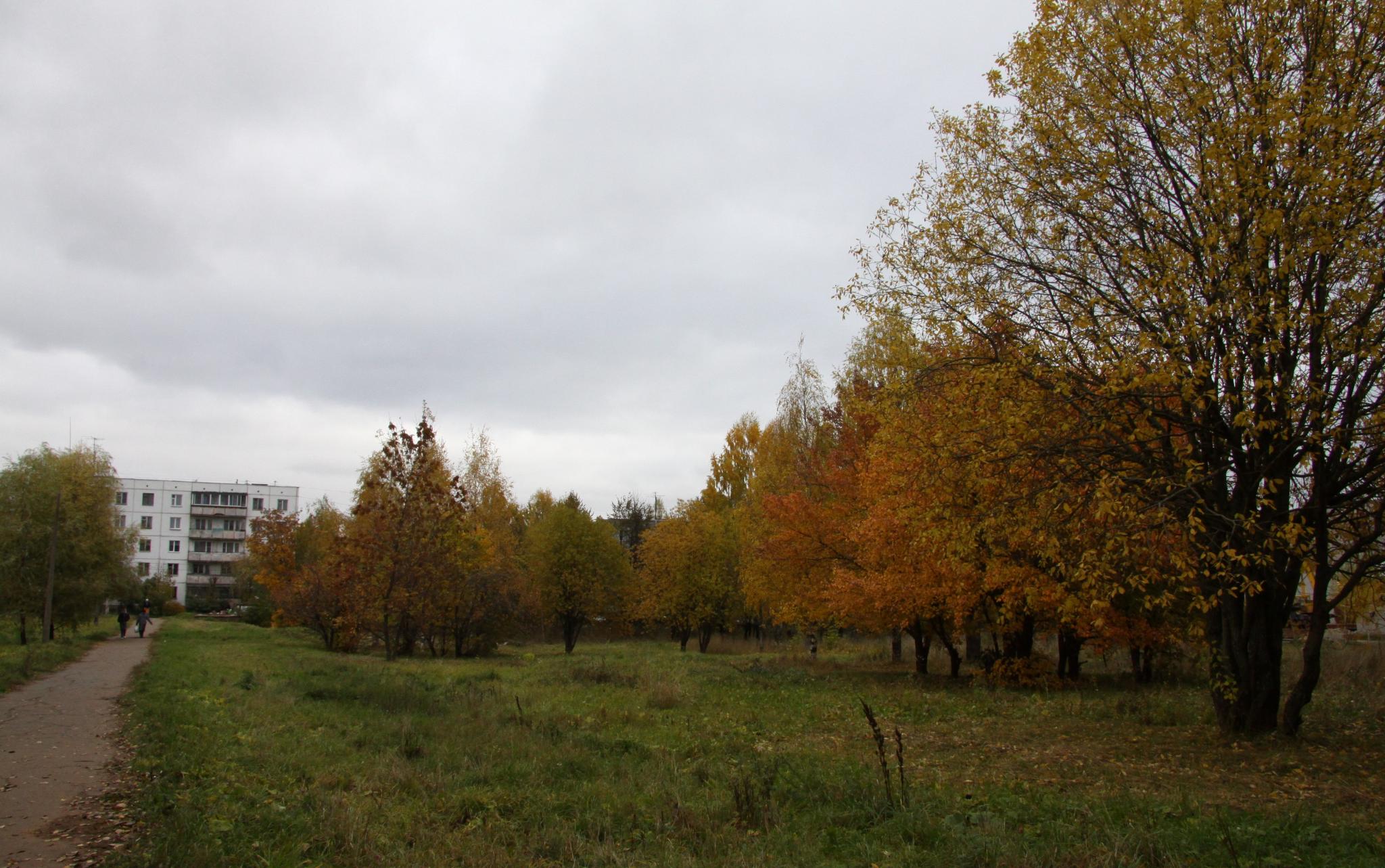 МЧС опубликовало прогноз погоды в Кировской области на 1 сентября