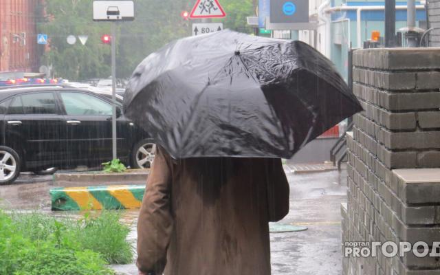 Прогноз погоды: предстоящая неделя в Чепецке будет прохладной