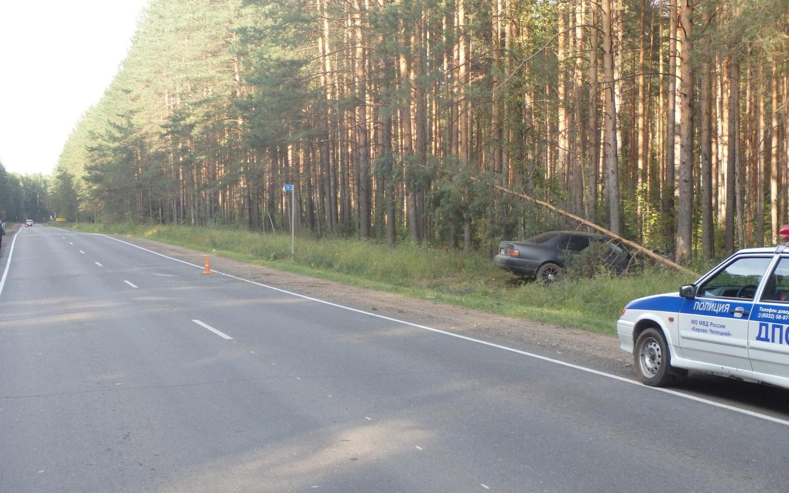 В Чепецком районе Toyota влетела в дерево: пострадали два человека