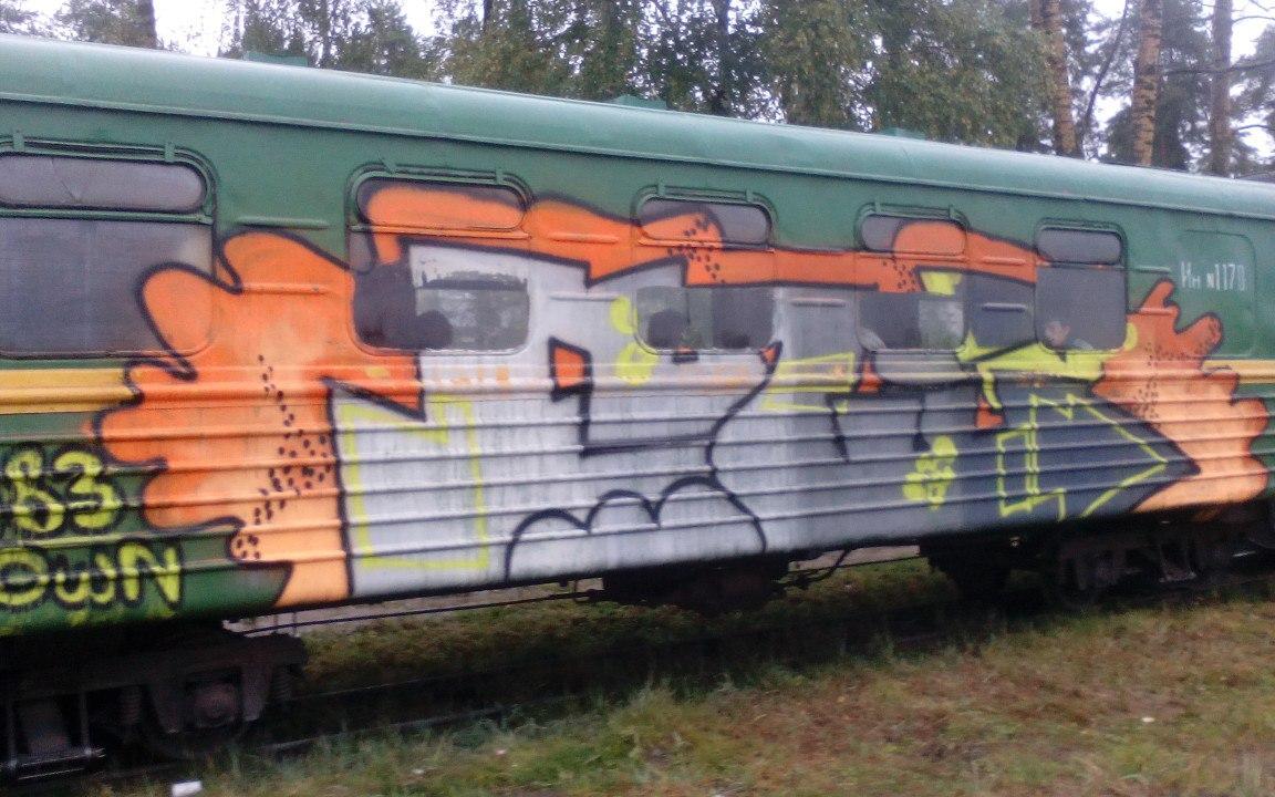 Неизвестные разрисовали вагоны поезда в Каринторфе