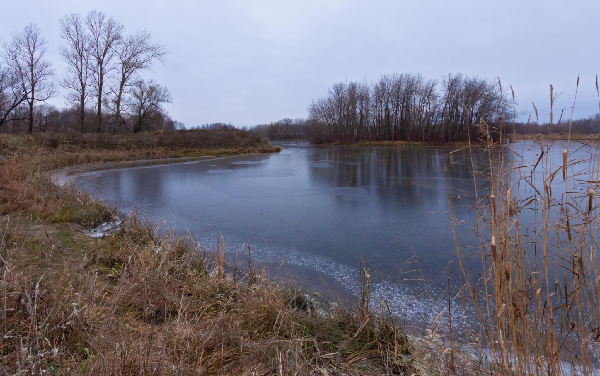 В Кировской области на днях ожидаются заморозки