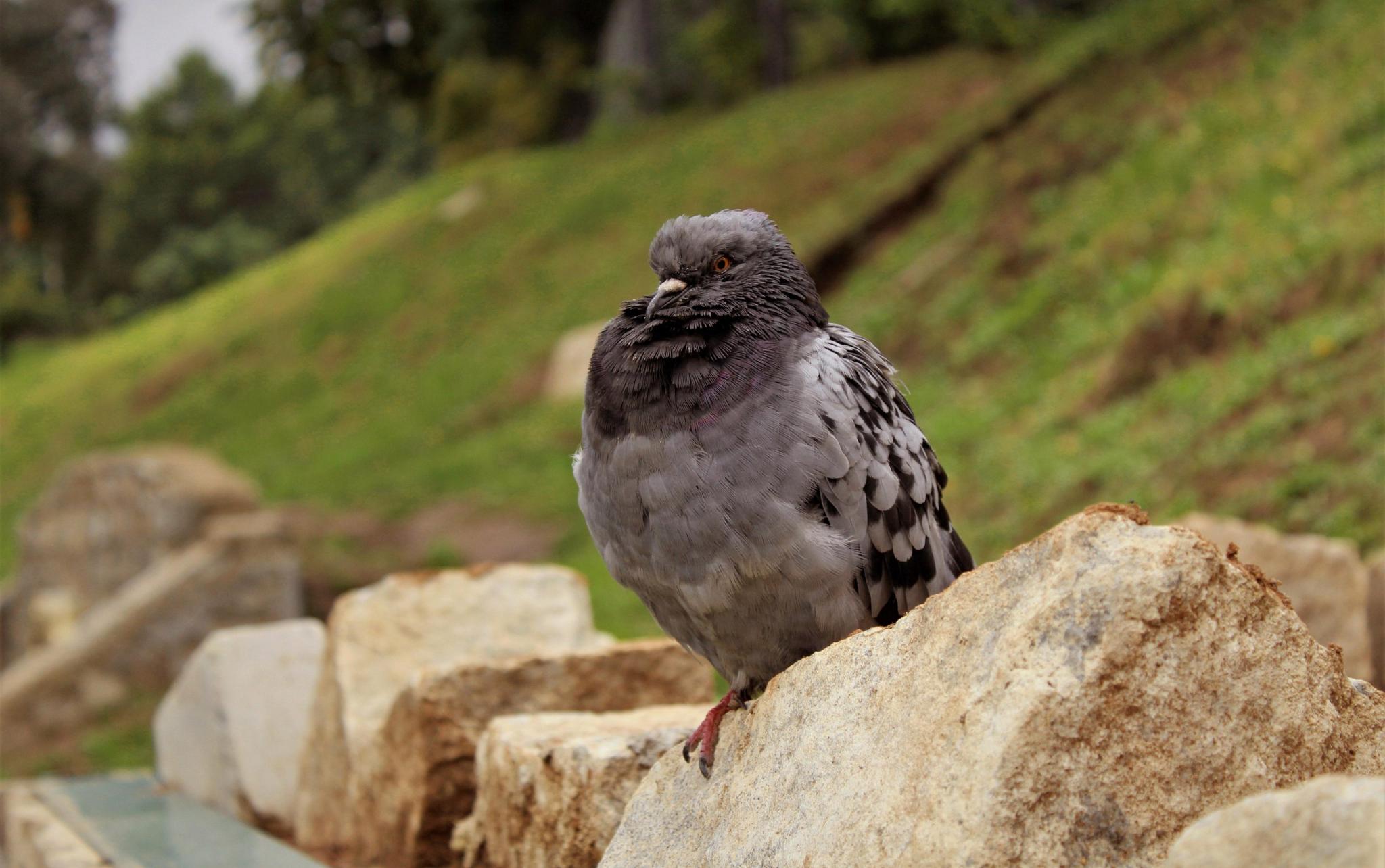 Прогноз погоды: какими будут выходные в Кирово-Чепецке?