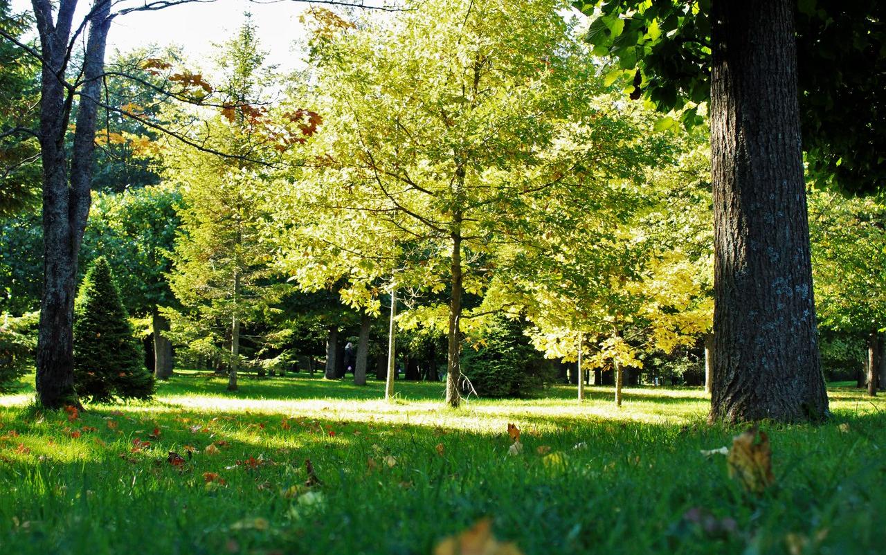 Появился прогноз погоды в Кировской области на октябрь