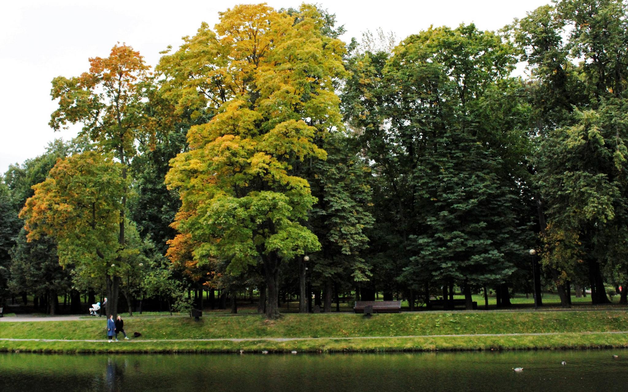 Прогноз погоды: какими будут выходные в Кирово-Чепецке?