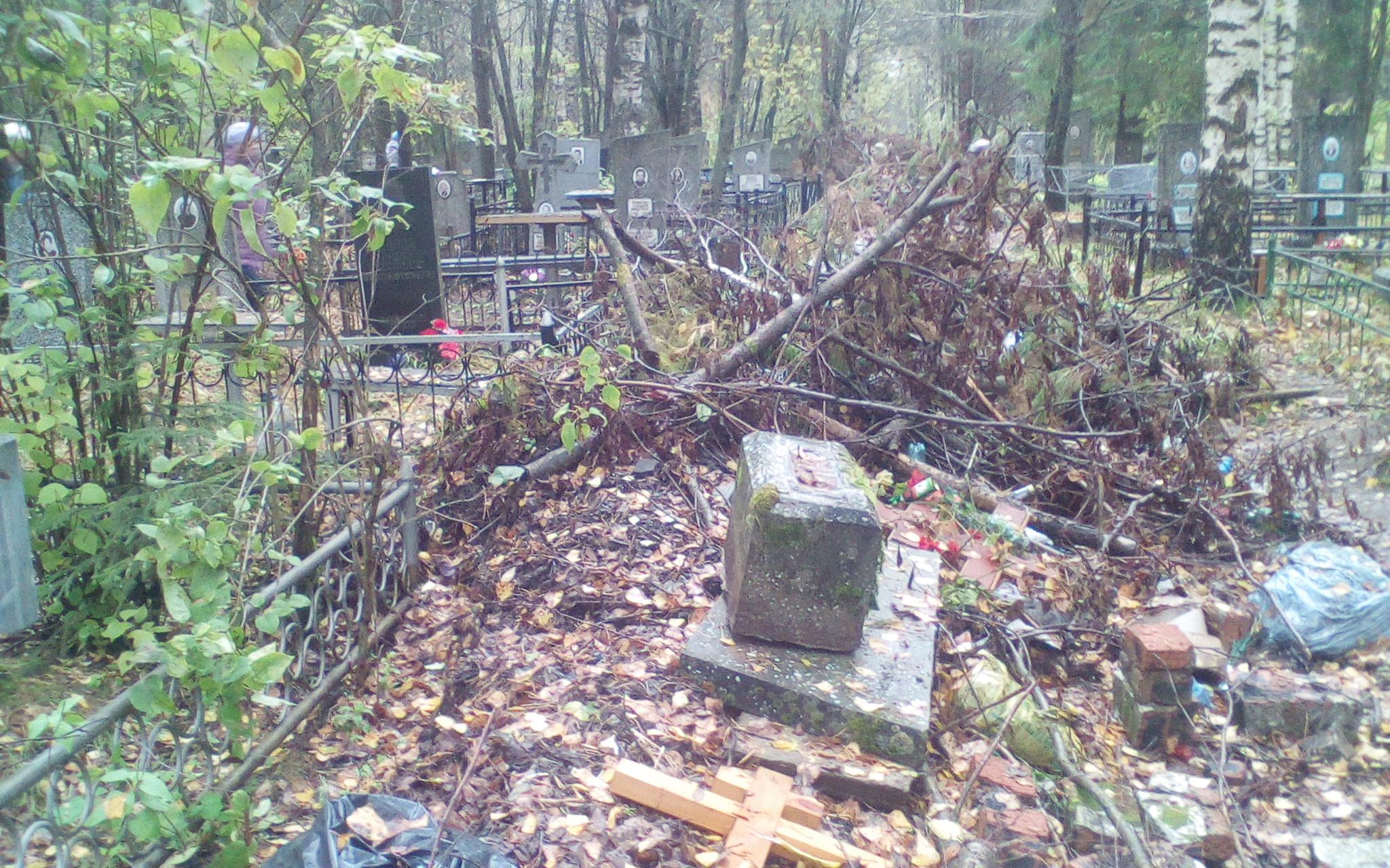 Кладбище в Злобино не очистят в этом году от мусора