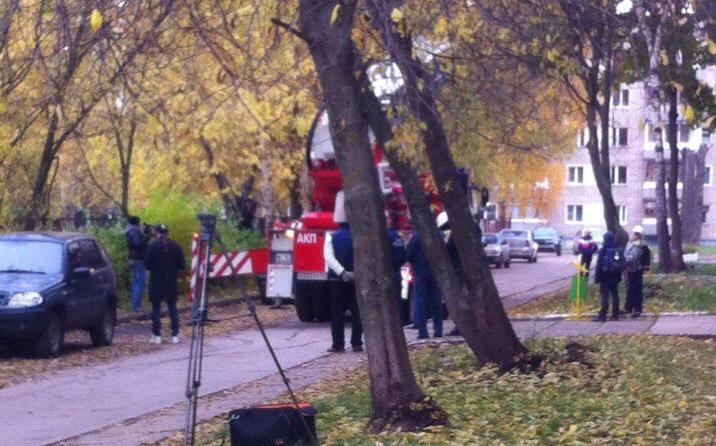 В Чепецке под аплодисменты горожан спасатели сняли кошку с дерева