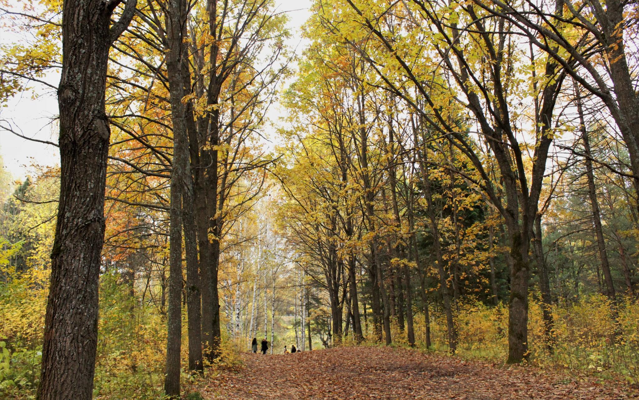 Прогноз погоды: какими будут выходные в Кирово-Чепецке?