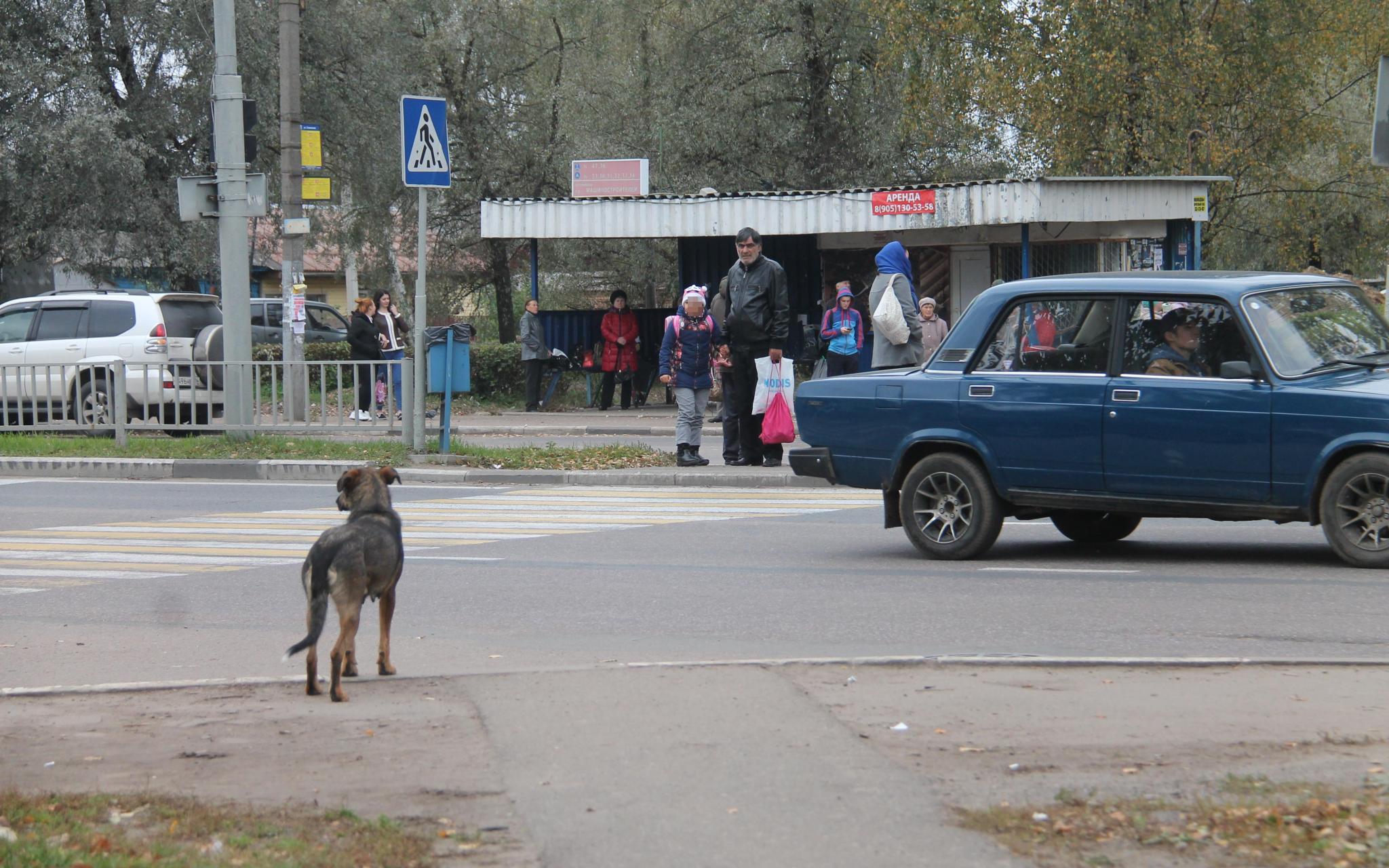 В Чепецке обновят девять остановочных павильонов