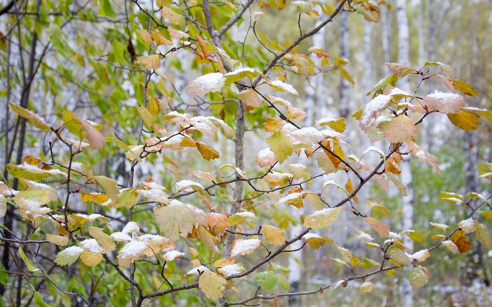 Прогноз погоды: какими будут выходные в Кирово-Чепецке?