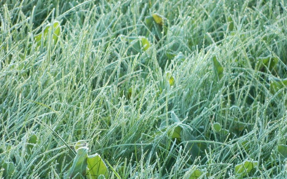 В Кировской области зафиксирована температура ниже -10 градусов