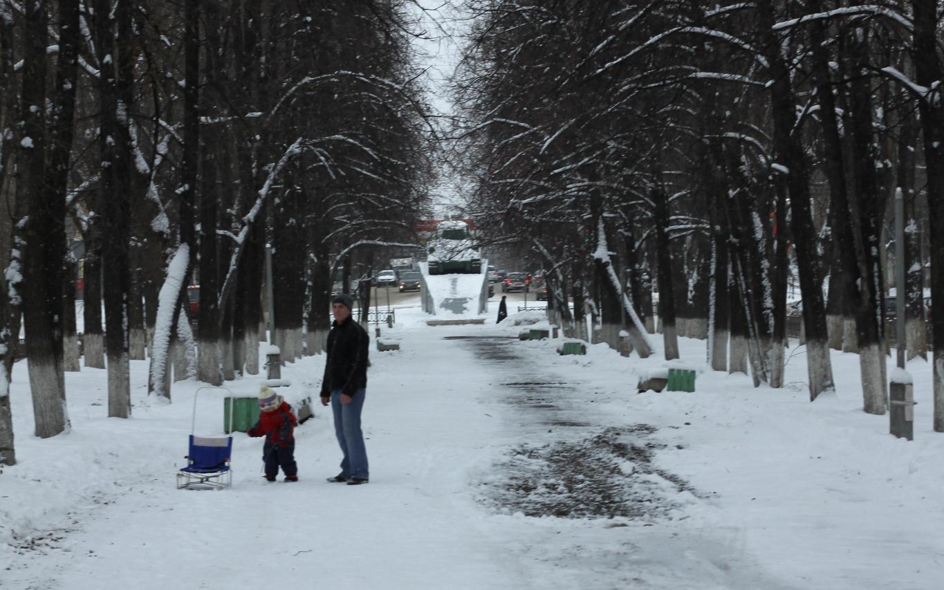 Долгосрочный прогноз: какими будут ноябрь и зима в Кировской области?