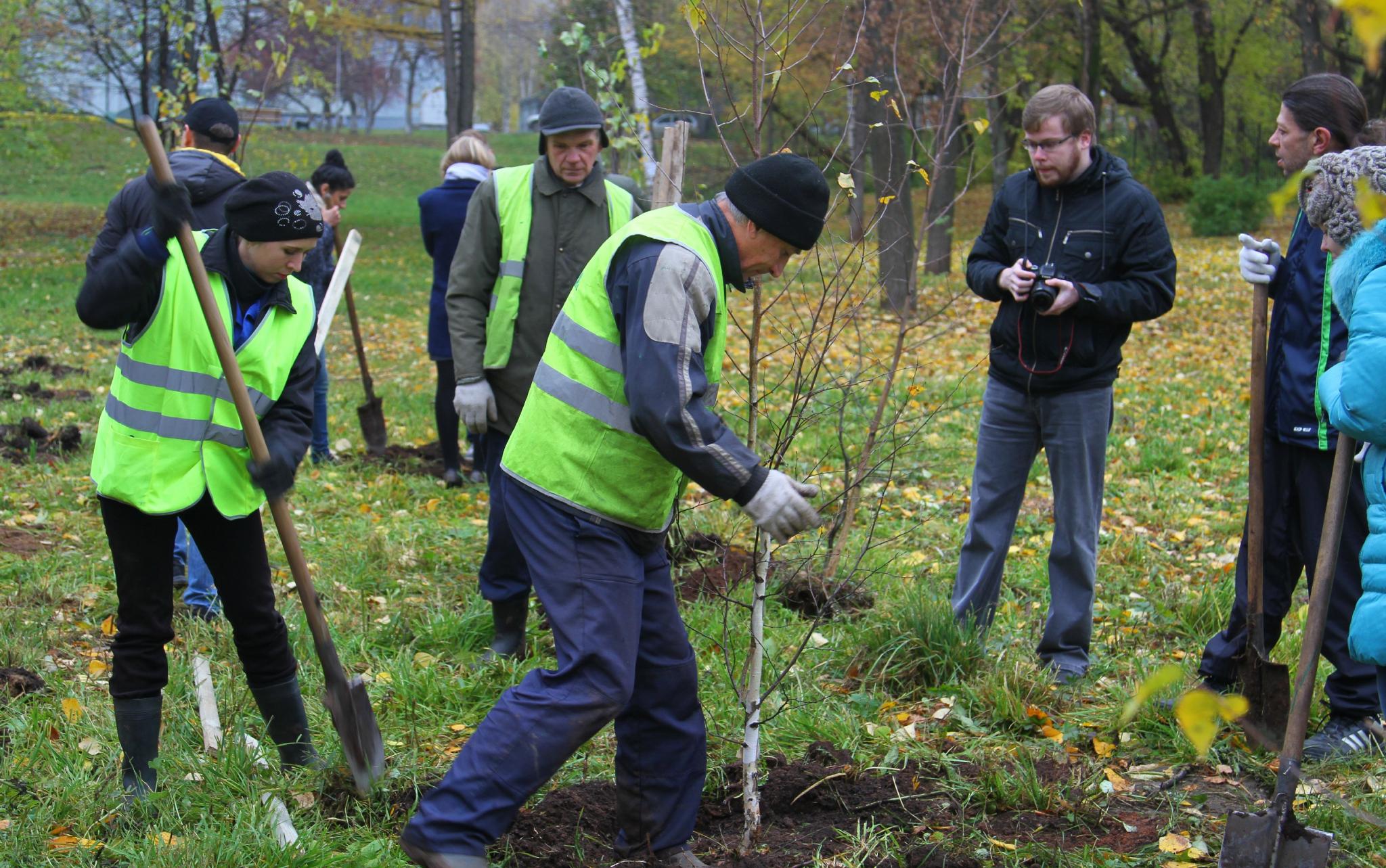 В администрации рассказали о благоустройстве дендрария в Чепецке
