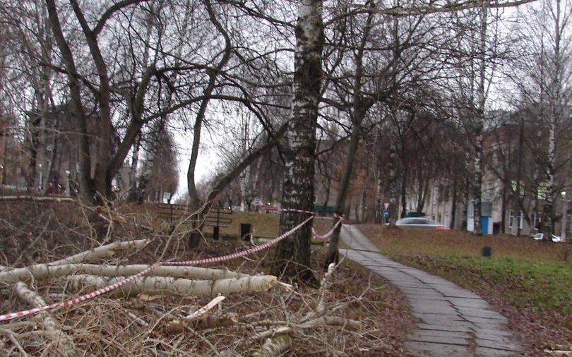 Аллею любви в Кирово-Чепецке восстановят